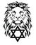 The Lion and the symbol of Judaism - star of David, Megan David, drawing for tattoo