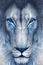 Lion Valor Ignited: Digital Lion Art Collection