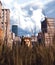 Lion walking in grass field in abandoned city