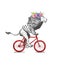 Lion Wearing T-shirt and Wreath Rides Bicycle Vector Illustration. Vintage Mascot Lion Cycle Bike Isolated on White