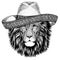 Lion wearing traditional mexican hat. Classic headdress, fiesta, party.