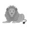 A lion, a wild and ferocious predator. Leo, the king of beasts single icon in monochrome style vector symbol stock