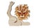 Lion wooden toy