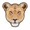 Lioness animal cute face. Vector African wild lion cat head portrait. Realistic fur portrait of lioness