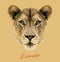 Lioness animal cute face. Vector African wild lion cat head portrait. Realistic fur portrait of lioness isolated on beige