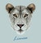 Lioness animal cute face. Vector African wild lion cat head portrait. Realistic fur portrait of lioness isolated on blue