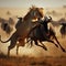 Lioness attacks a wildebeest in the grassy savannah