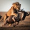 Lioness attacks a wildebeest in the grassy savannah