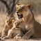 A Lioness with her cubs