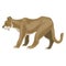 Lioness icon, cartoon style