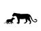 Lioness and lion cub predator black silhouette animal