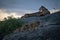 Lioness nurses cub on rock near others