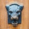 Lioness or panther head as Door decoration.