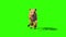 Lioness Runcycle Front Green Screen Animals 3D Rendering Animation