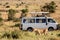 Lioness with safari car in the Masai Mara national park, Kenya. Animal wildlife. Safari concept. Vacation in Africa