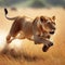 Lioness sprints across grassy savannah