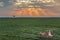 Lioness at the sunrise, in Maasai Mara, Kenya, Africa