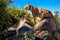 Lionesses in the Serengeti National Park rest on the rocks in the hot noon