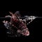 Lionfish on black background