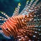 Lionfish swimming