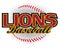 Lions Baseball Design