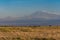 Lions in front of the Kilimandjaro