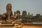 Lions guarding the entrance to the ruins of Angkor Wat temple