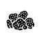 lions mane mushroom glyph icon vector illustration