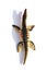 Liopleurodon toy with shadow on a white background