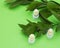 Lip balms with green plant branches