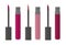 Lip gloss or liquid lipstick - clear tube and screw cap with applicator  vector illustration. Beauty product