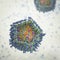 Lipid nanoparticle mRNA vaccine