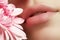 Lips with flower. Close-up beautiful female lips with bright lip