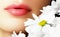 Lips with flower. Close-up beautiful female lips with bright lip