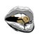 lips .Metal glamour lips. Metallic chrome lips with bullet. Gray scale lips on white.