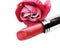 Lipstick cosmetic for makeup fashion style rose flower