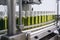liquid bottle production industry factory olive plant oil mill agriculture. Generative AI.