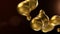 Liquid gold abstract background. Melting golden spheres on dark backdrop. luxury