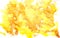 Liquid gold handmade gouache watercolor yellow orange bright sunny summer background