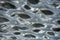 Liquid metal background texture ceiling silver roof