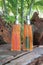 Liquid soap bottles