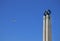 Lisbon, Portugal-07 august 2017. Aeroplane flying and the monument to the 25 de Abril Revolution, in Eduardo VII park and gardens