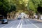 Lisbon, Portugal: Avinada de Liberdade avenue with arching green trees over the highway