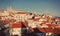 Lisbon town skyline at the Alfama