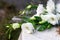 Lisianthus white bouquet is on the table