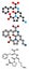 Lisinopril hypertension or high blood pressure drug (ACE inhibitor) molecule