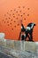 Lissabon Portugal: Cloves fired from mortar, mural, Banksy, Cloves Revolution 1974, Lisbon Portugal