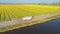 Lisse Netherlands April 2019, A classic, white Volkswagen Beetle car on a flower covered meadow in the bulb region