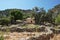 Lissos Archaelogical Site in Sougia, Crete