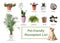 List of pet-friendly houseplants on background